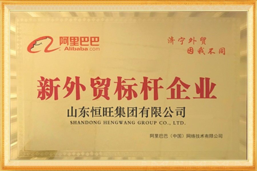 阿裏巴巴新外(wài)貿标杆企業